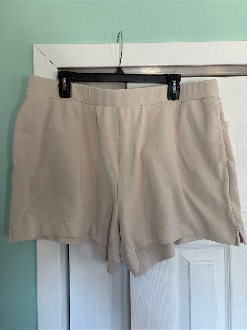 Express Shorts Size XL